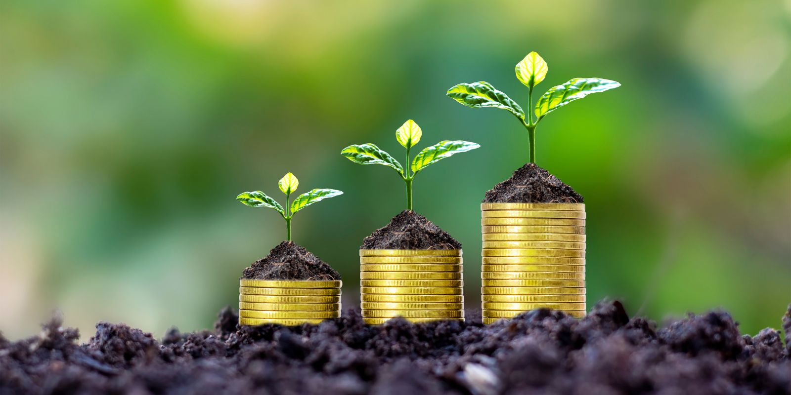 5 pasos para obtener el financiamiento o hipoteca ideal al comprar una propiedad en Florida